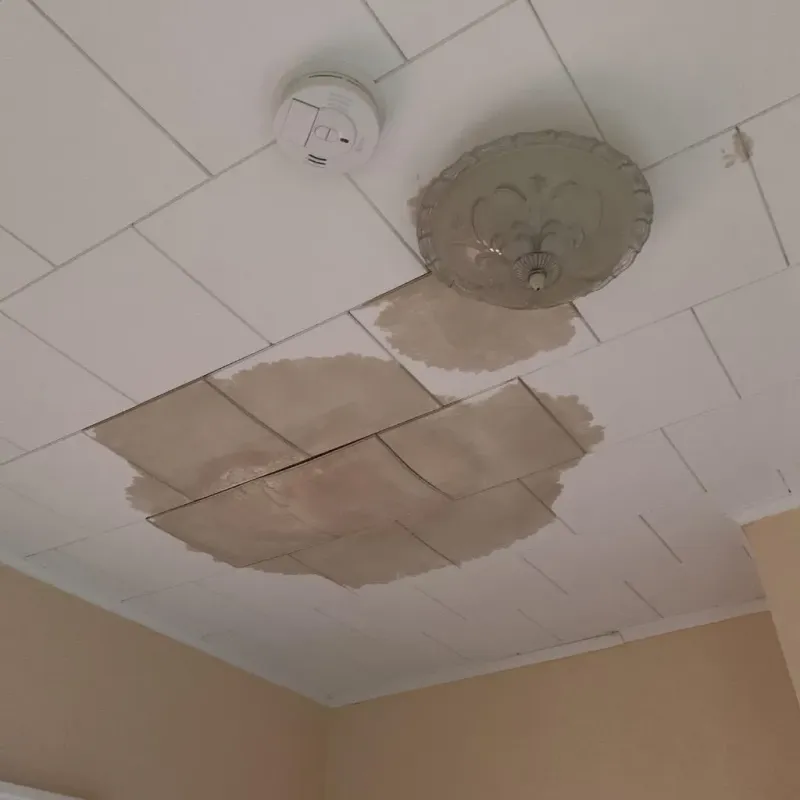 Ceiling Water Damage Repair in Trevose, PA